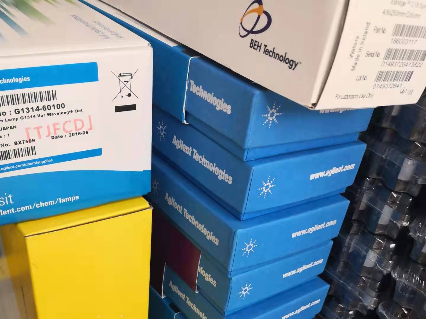 ���݂�뮟�